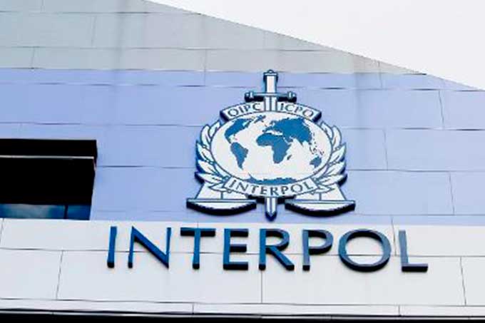 interpol-1