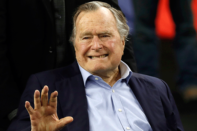 bush