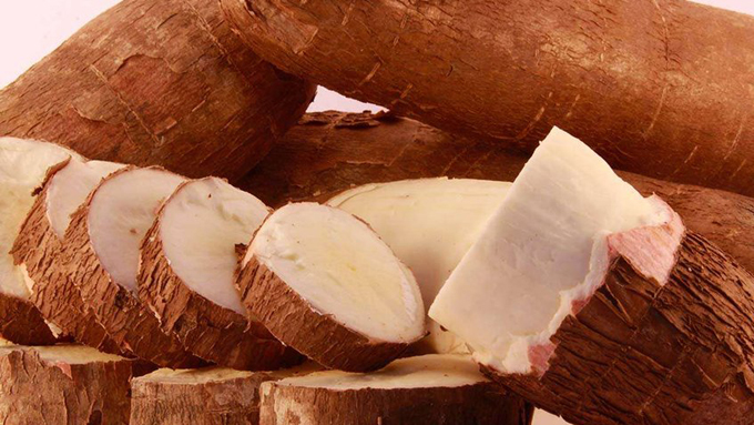 yuca