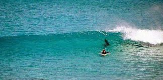 surfista falleció ataque tiburón - Noticias Ahora