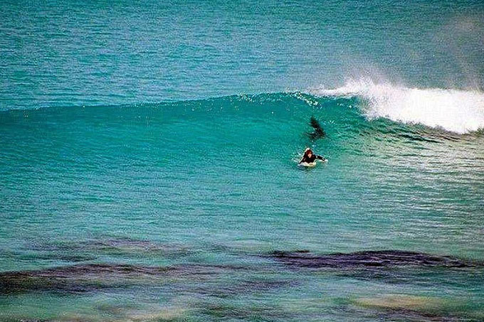 surfista falleció ataque tiburón - Noticias Ahora