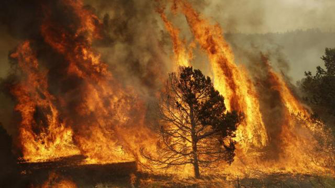 incendio forestal