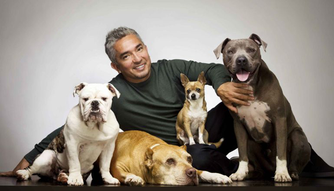 encantador de perros
