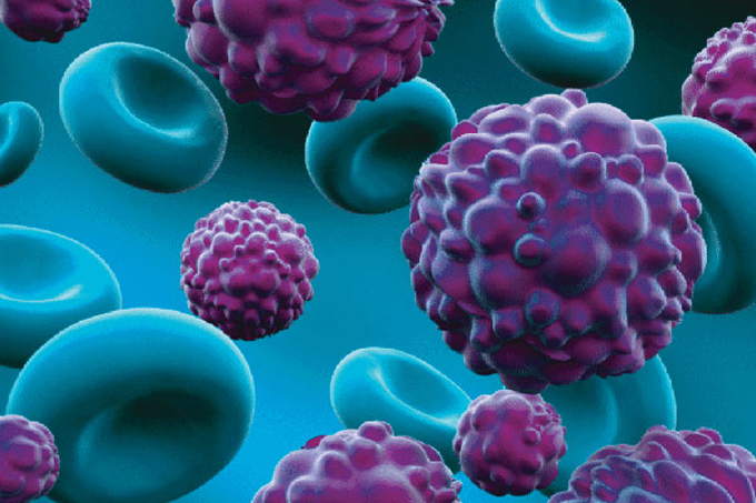  Cáncer
