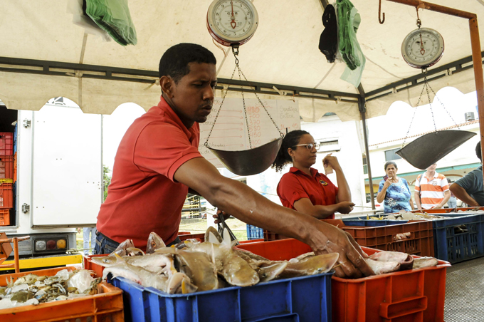 Feria del pescado