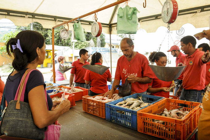 Feria del pescado
