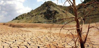 Día mundial desertificación sequía