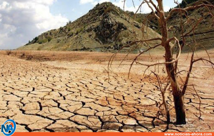 Día mundial desertificación sequía
