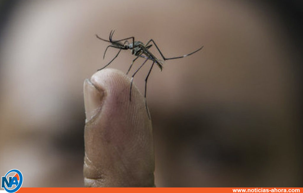 Filipinas alerta dengue- Noticias Ahora