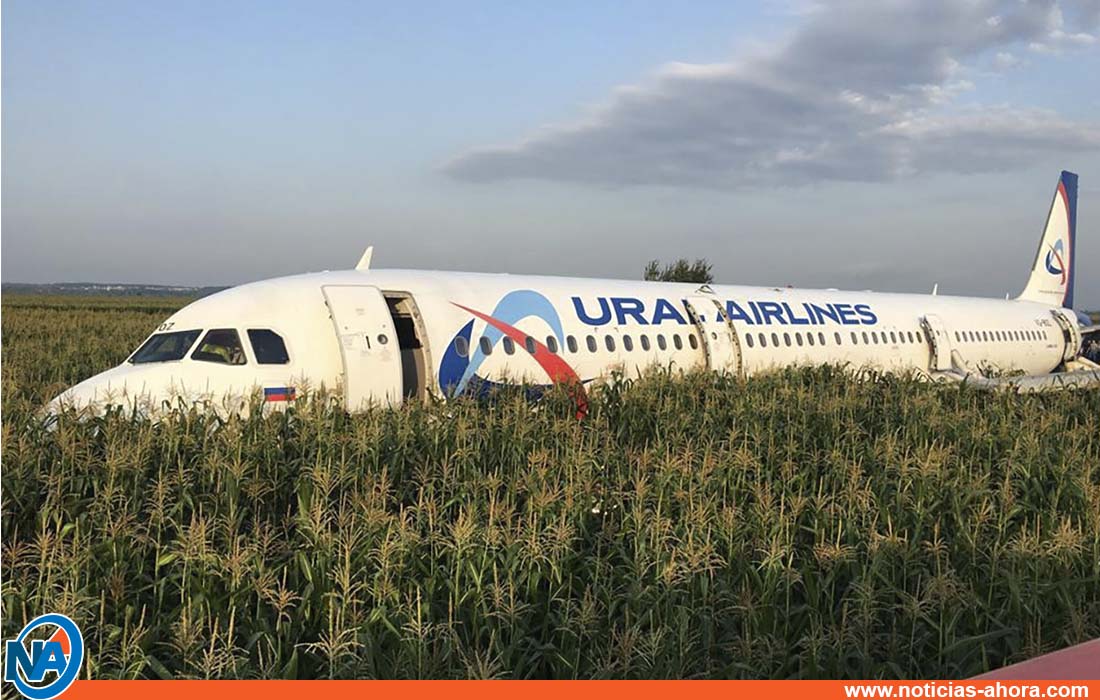 Airbus aterrizó en campo de maíz - Noticias Ahora
