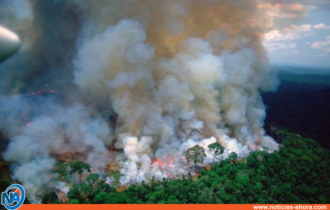 Amazonia incendios - Noticias Ahora 