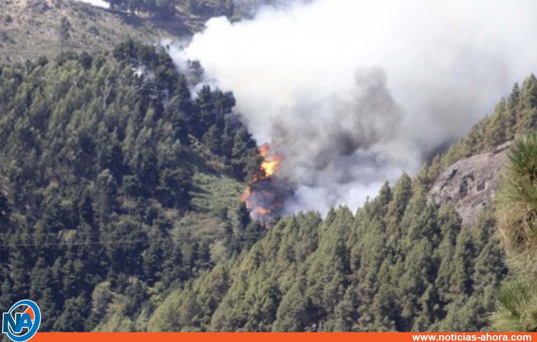 incendio Gran Canaria - Noticias Ahora