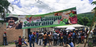 Feria del Campo Soberano Naguanagua - Noticias Ahora