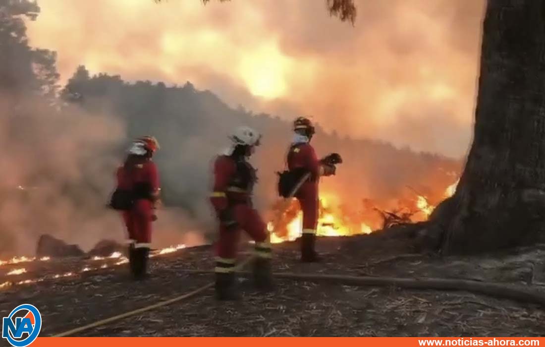 incendio Gran Canaria - Noticias Ahora