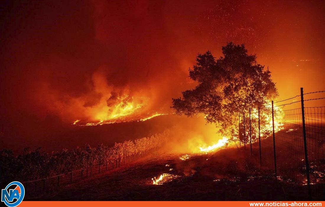 incendios california evacuación personas - Noticias Ahora