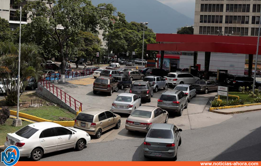 censo automotor Táchira - Noticias Ahora