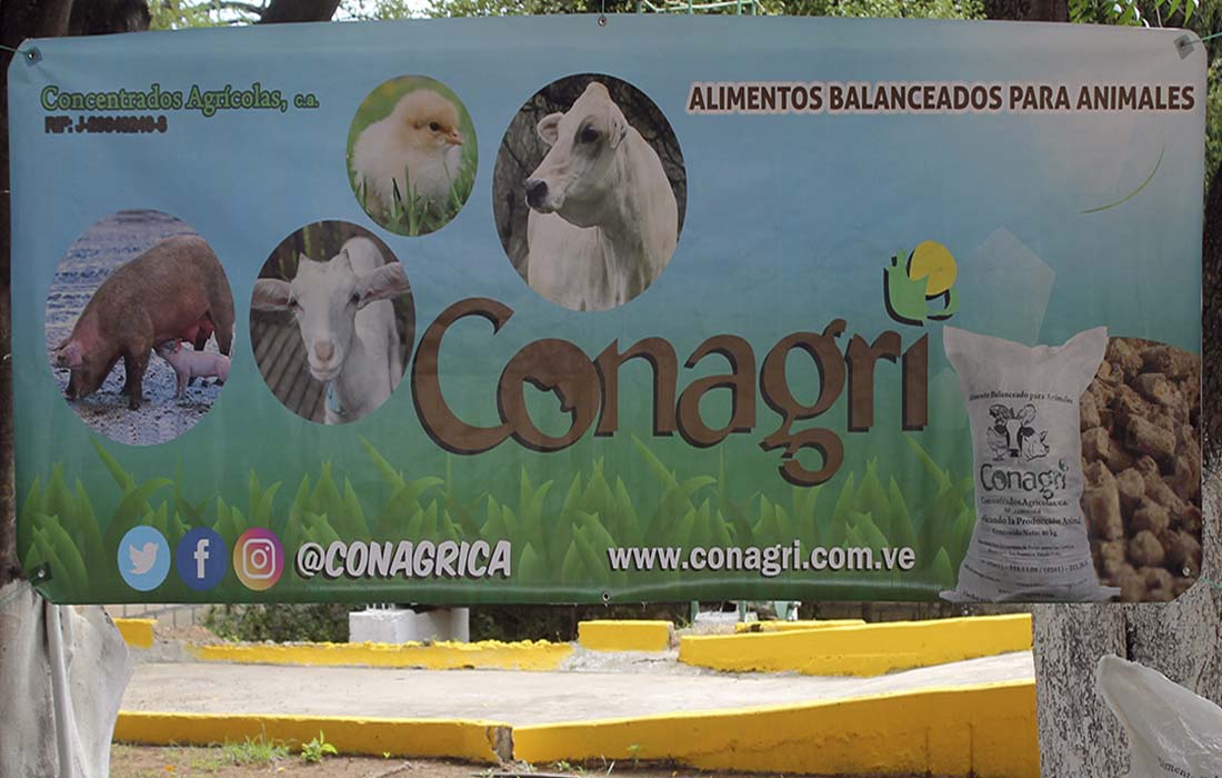lacava producción avícola - Noticias Ahora