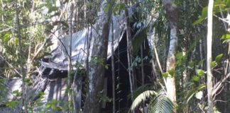 campamentos cocaína frontera colombia - Noticias Ahora