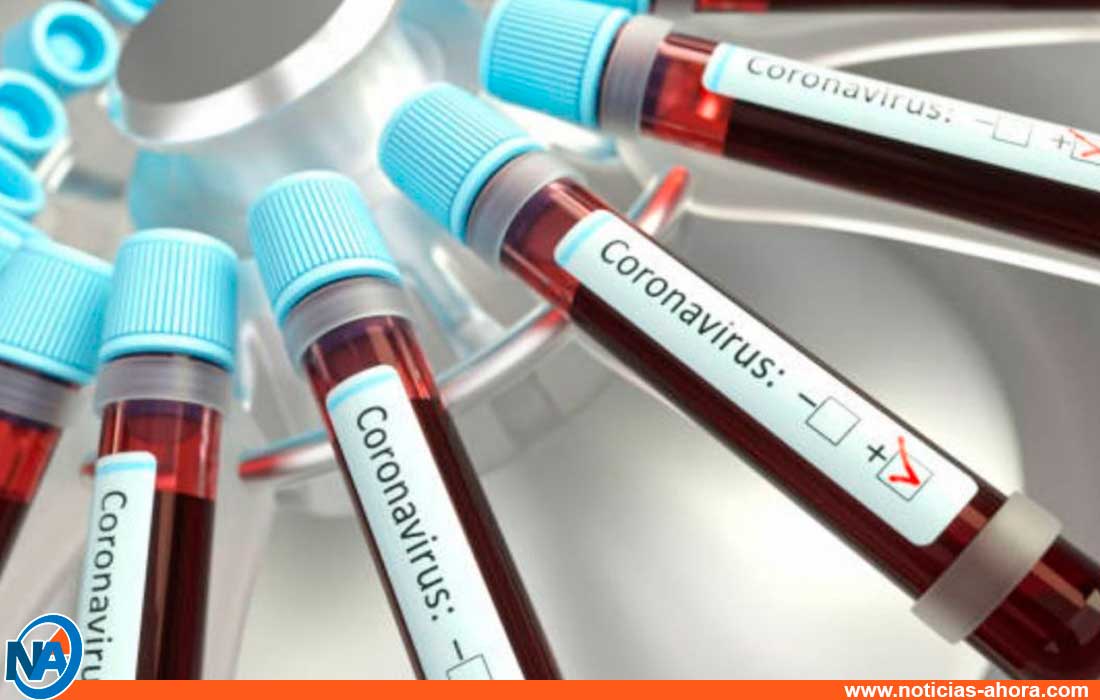 coronavirus en  argentina - noticias ahora