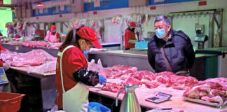 Wuhan consumo animales salvajes - Noticias Ahora