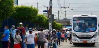 Guayaquil semáforo amarillo - noticias ahora