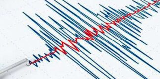 sismo sur de España - noticias ahora