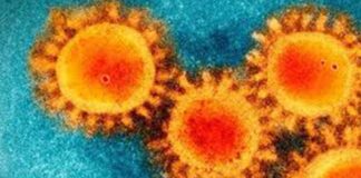 Mutaciones del coronavirus - Noticias Ahora