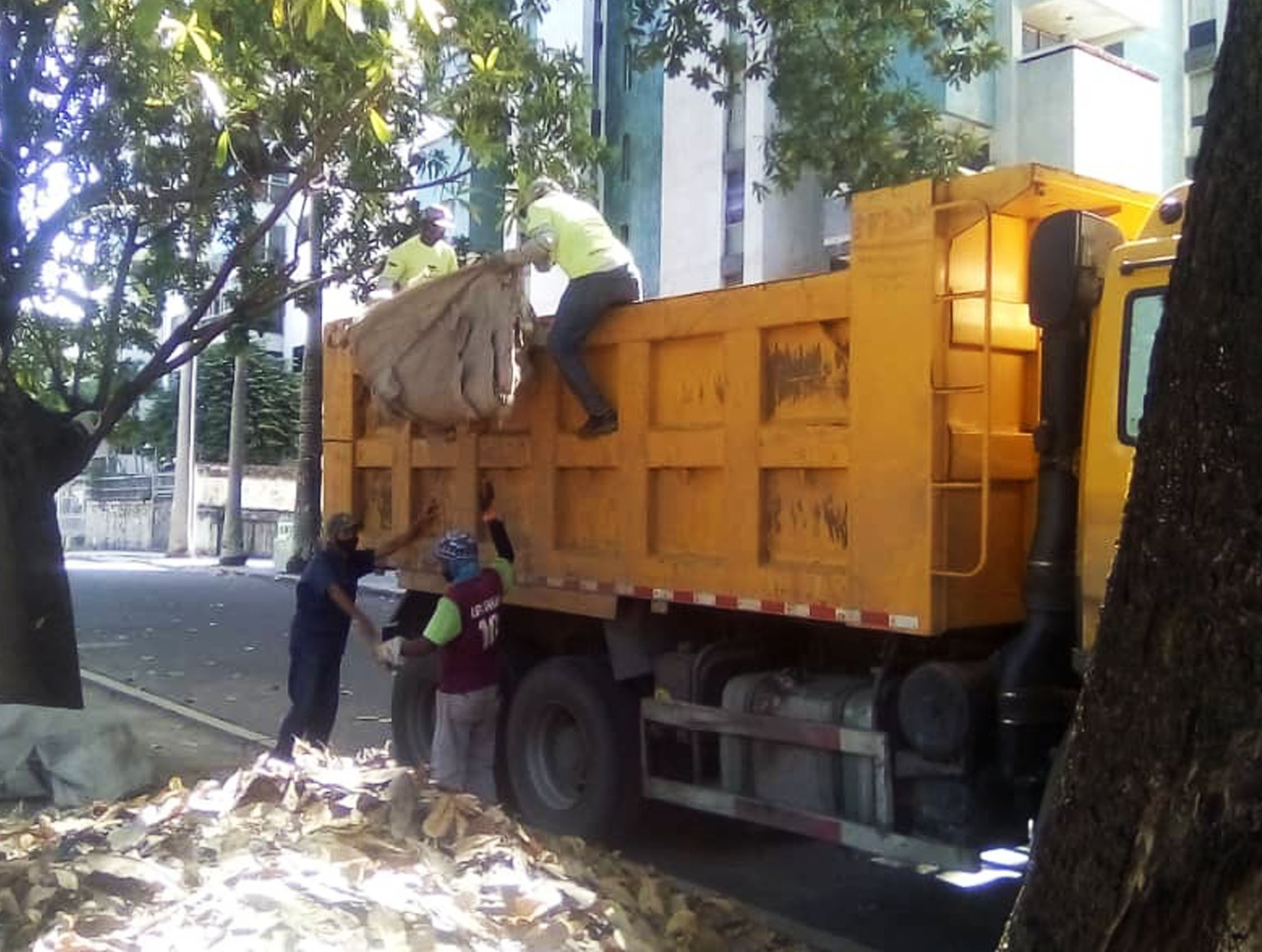  trabajos en Plaza Pocaterra - NA