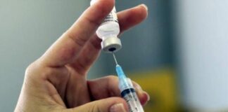 Cuánto tarda la vacuna en hacer efecto - Noticias Ahora