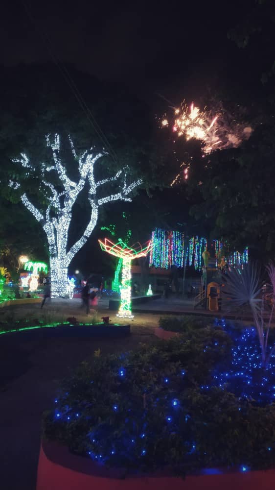encendido navideño de Los Guayos