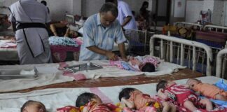 Diez bebés muertos - Noticias Ahora