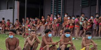 Yanomamis denuncian muerte de niños - Noticias Ahora