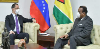 reunión de arreaza y Guyana - NA