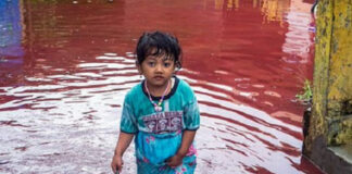 Inundación de agua roja en Indonesia - Noticias Ahora