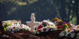 Muertes diarias en Brasil - Noticias Ahora