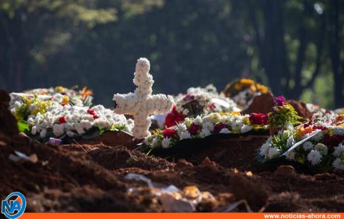 Muertes diarias en Brasil - Noticias Ahora