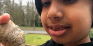Niño británico de seis años - Noticias Ahora