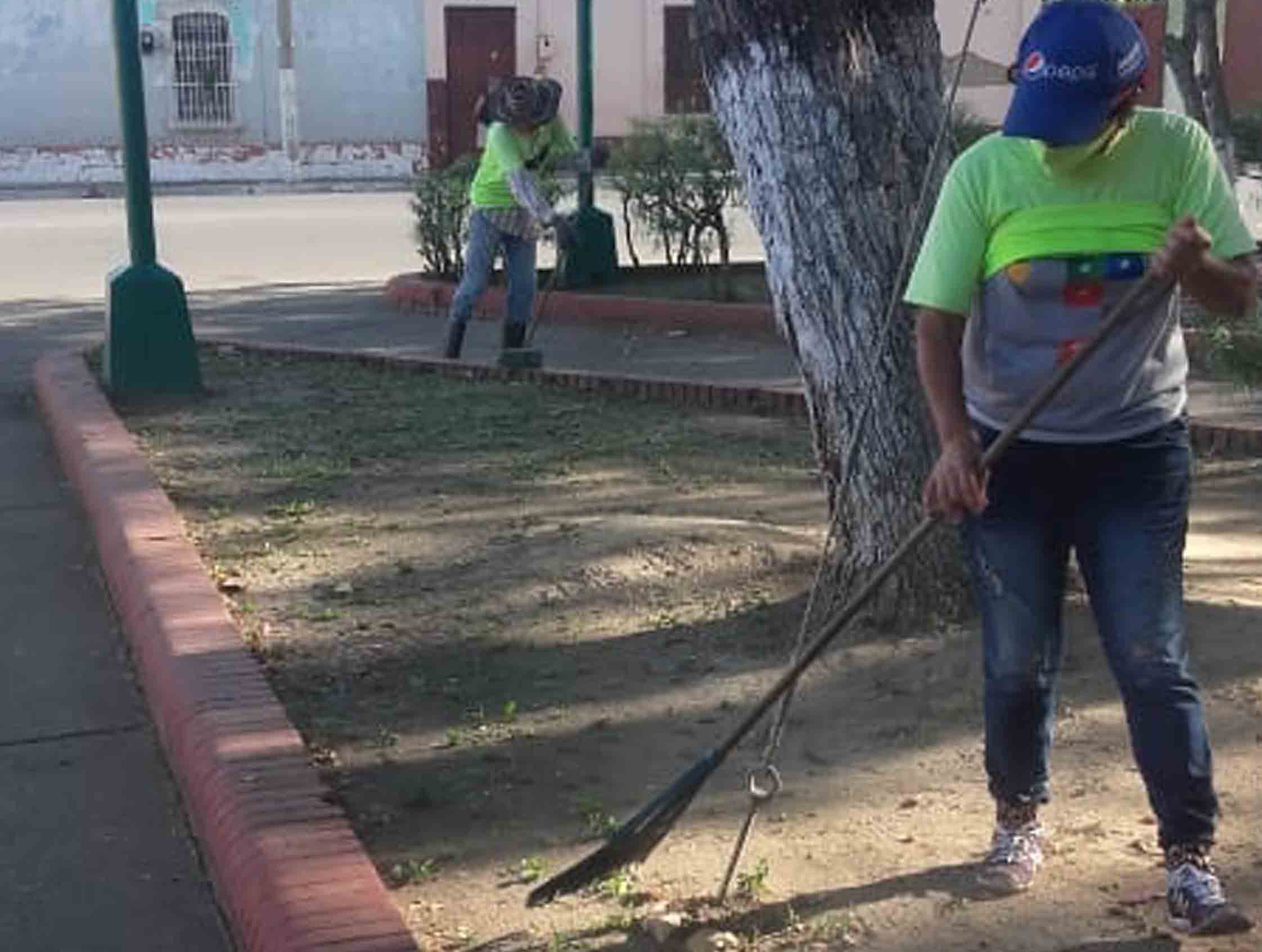 Plan de mantenimiento en Valencia y Carlos Arvelo - 1