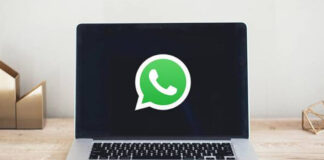 Videollamadas en WhatsApp de escritorio - Noticias Ahora