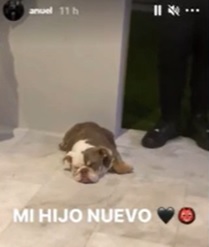 anuel enfrenta su ruptura con karol G