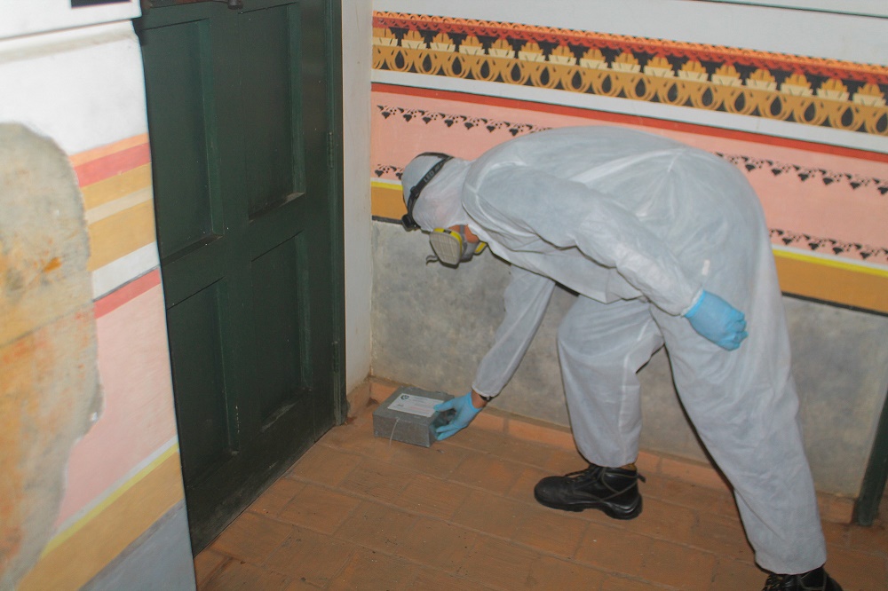 fumigación en el Museo Casa de la Estrella 2