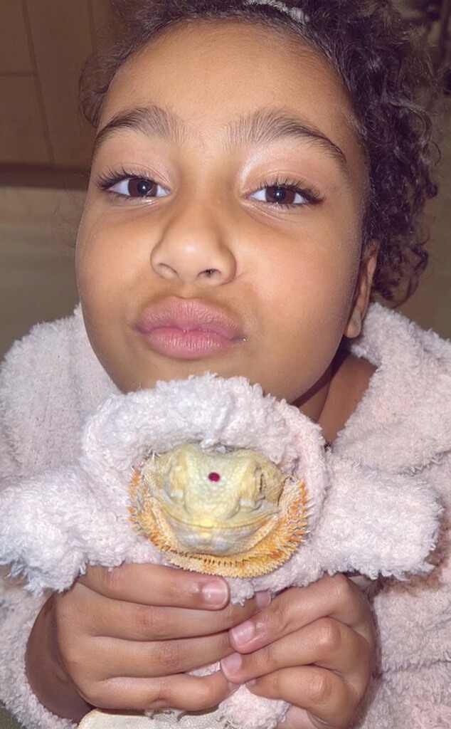 kim kardashian tiene un dragon