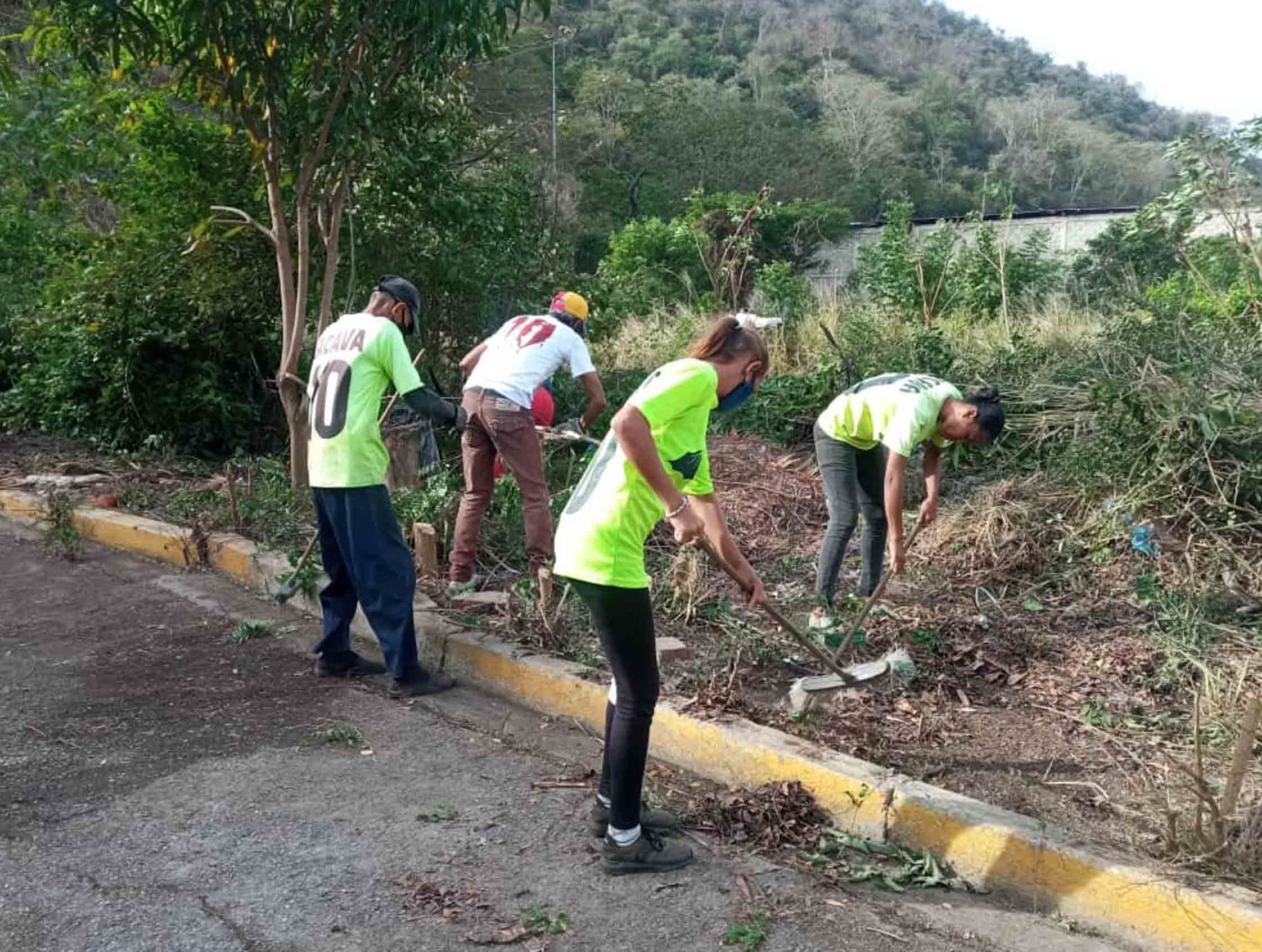 limpieza profunda en Puerto Cabello