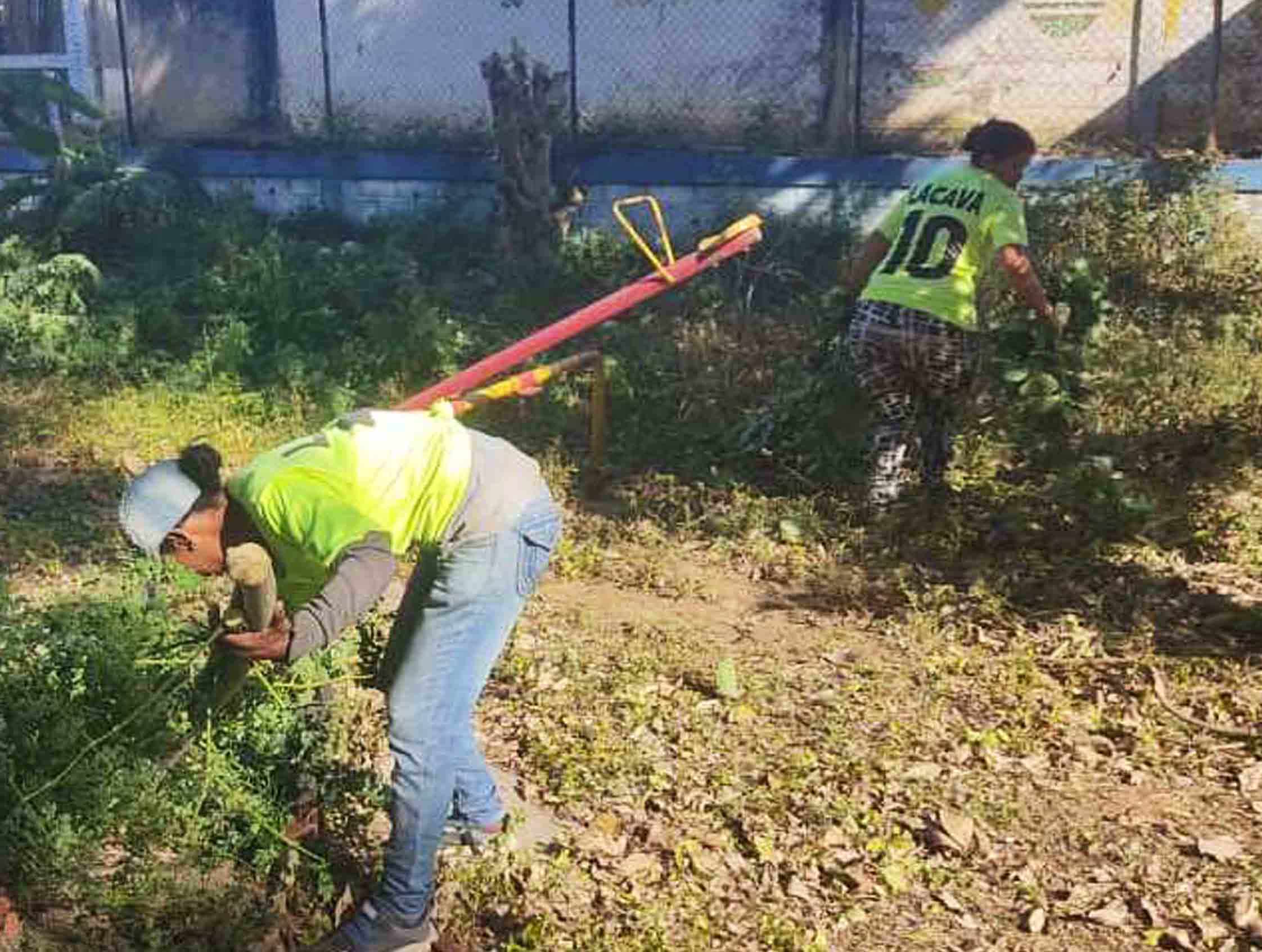 limpieza profunda en Puerto Cabello