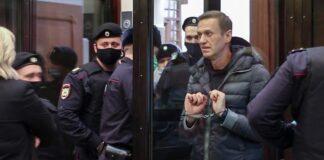 Nuevo caso penal contra Navalny - Noticias Ahora