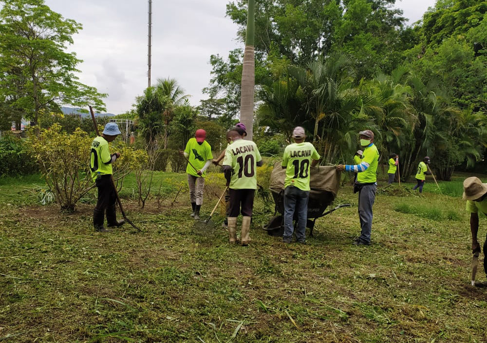 Limpieza en Jardín Botánico de Naguanagua - Noticias Ahora 