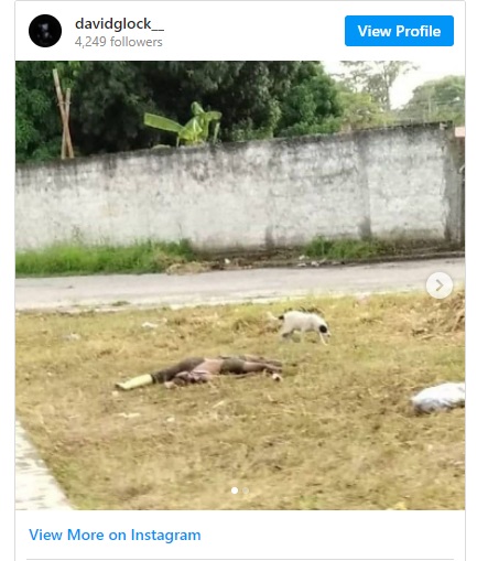 Asesinan a dos sujetos en la vía pública
