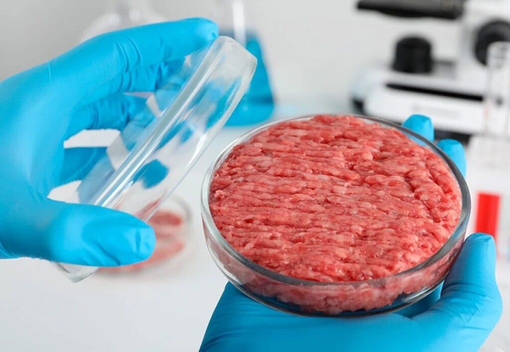 carne cultivada en laboratorio