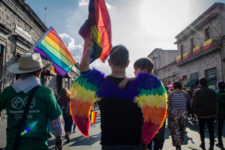 Diputada usó a comunidad LGBT para reelegirse - 2