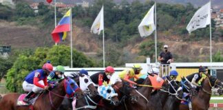 Carreras de caballo en Valencia y Caracas